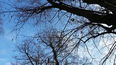 20151123_115909