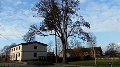 20151123_115946