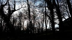 20151123_120911