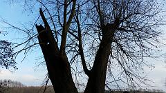 20151123_120930