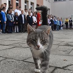 FOTO JACEK GROTKIEWICZ